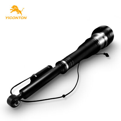 2213205613 Cocok untuk Mercedes-Benz S-Class (W221) / CL-Class (C216) Strut Suspensi Udara Gandar Belakang Kanan