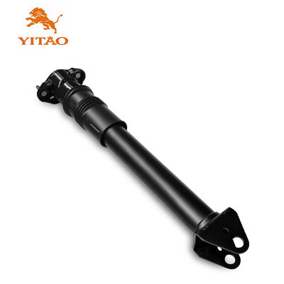 2513200631 Air Suspension Strut Untuk Kelas R (W251) Model 2006-2013 Tanpa Sistem ADS
