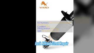 Penggantian Strut Suspensi Udara Audi Allroad